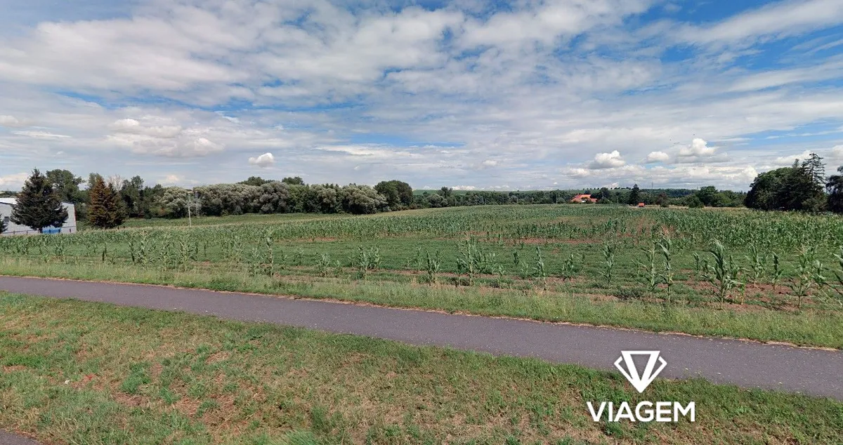 Prodej pole 5054 m²